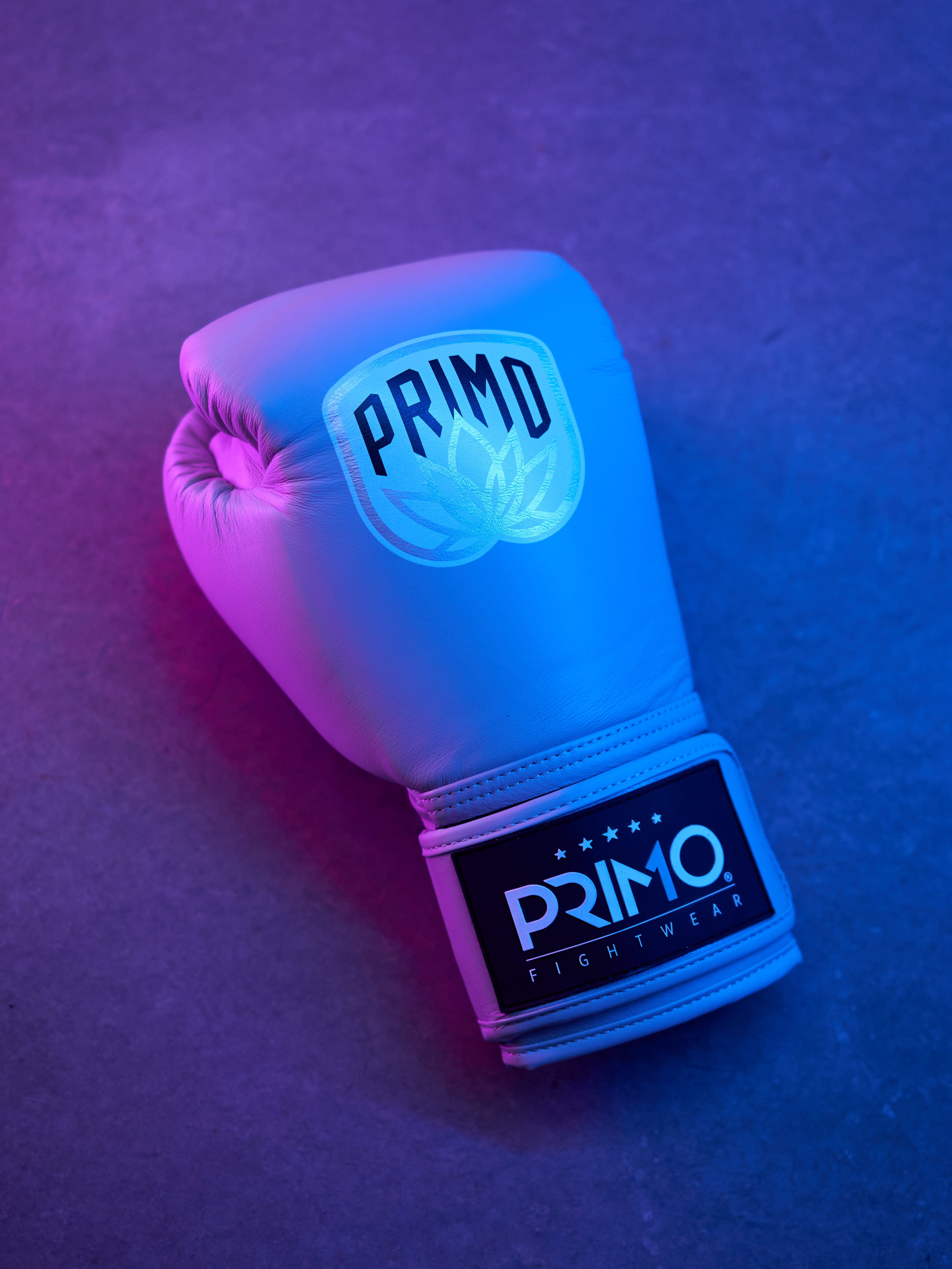Leather Boxing Gloves