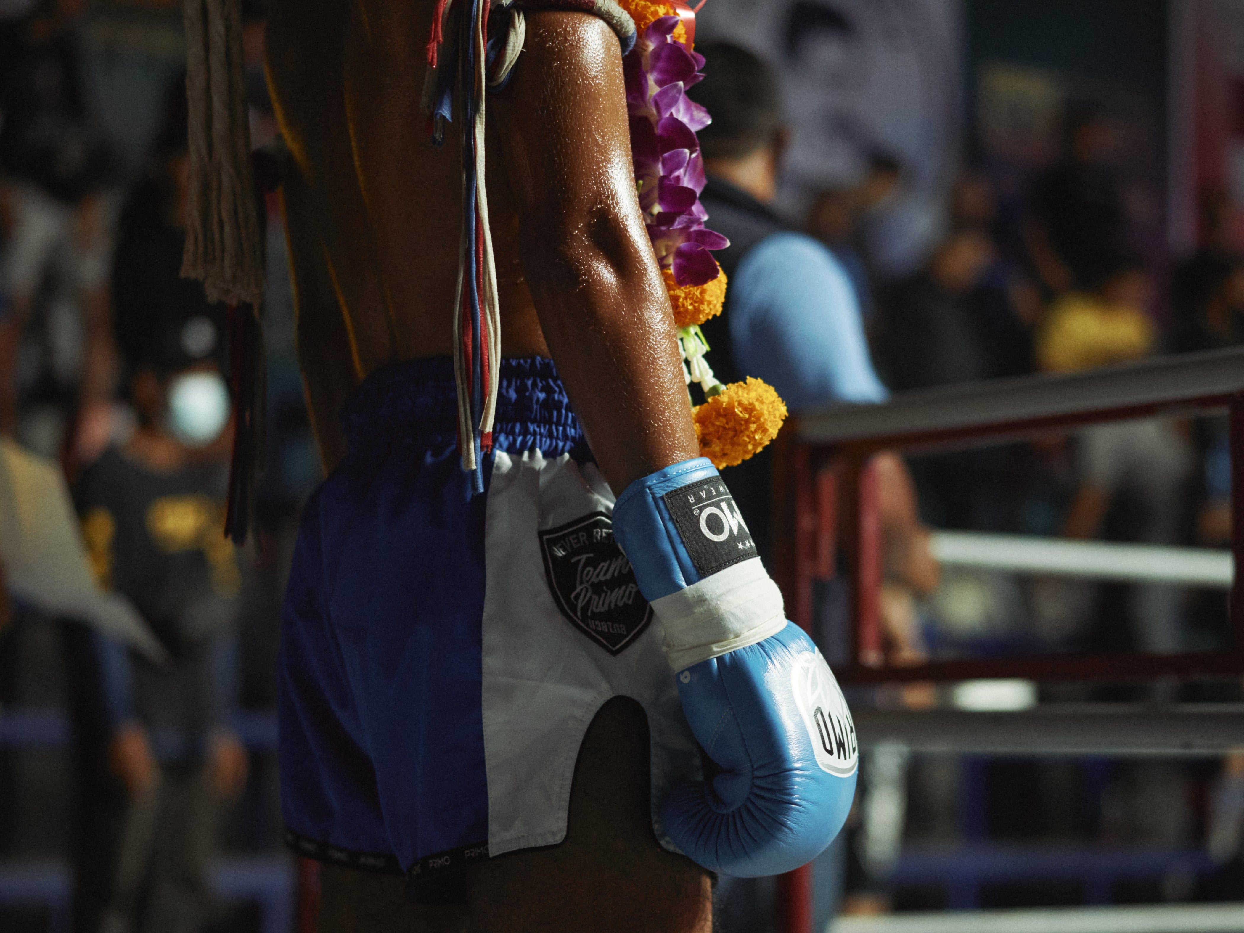 Fighting Gloves