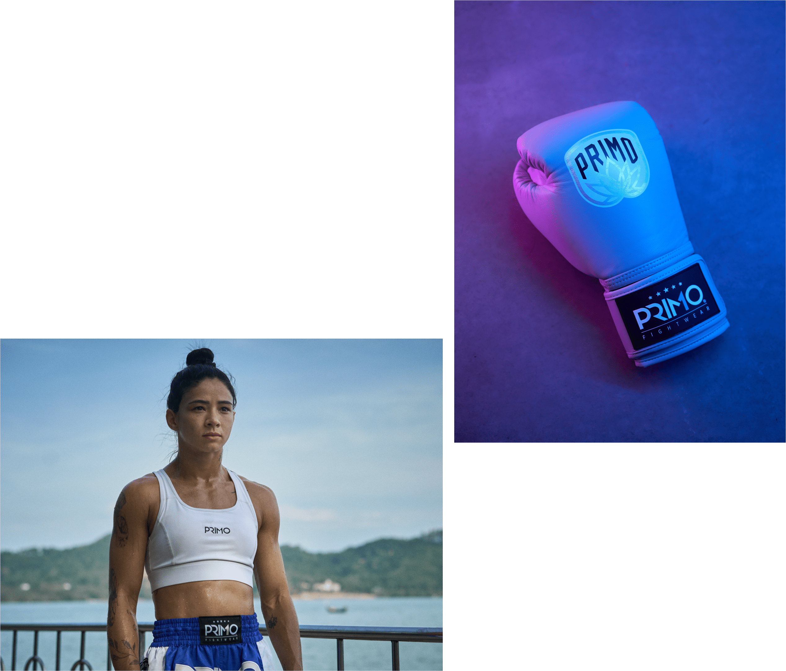 Best Fighting Gear