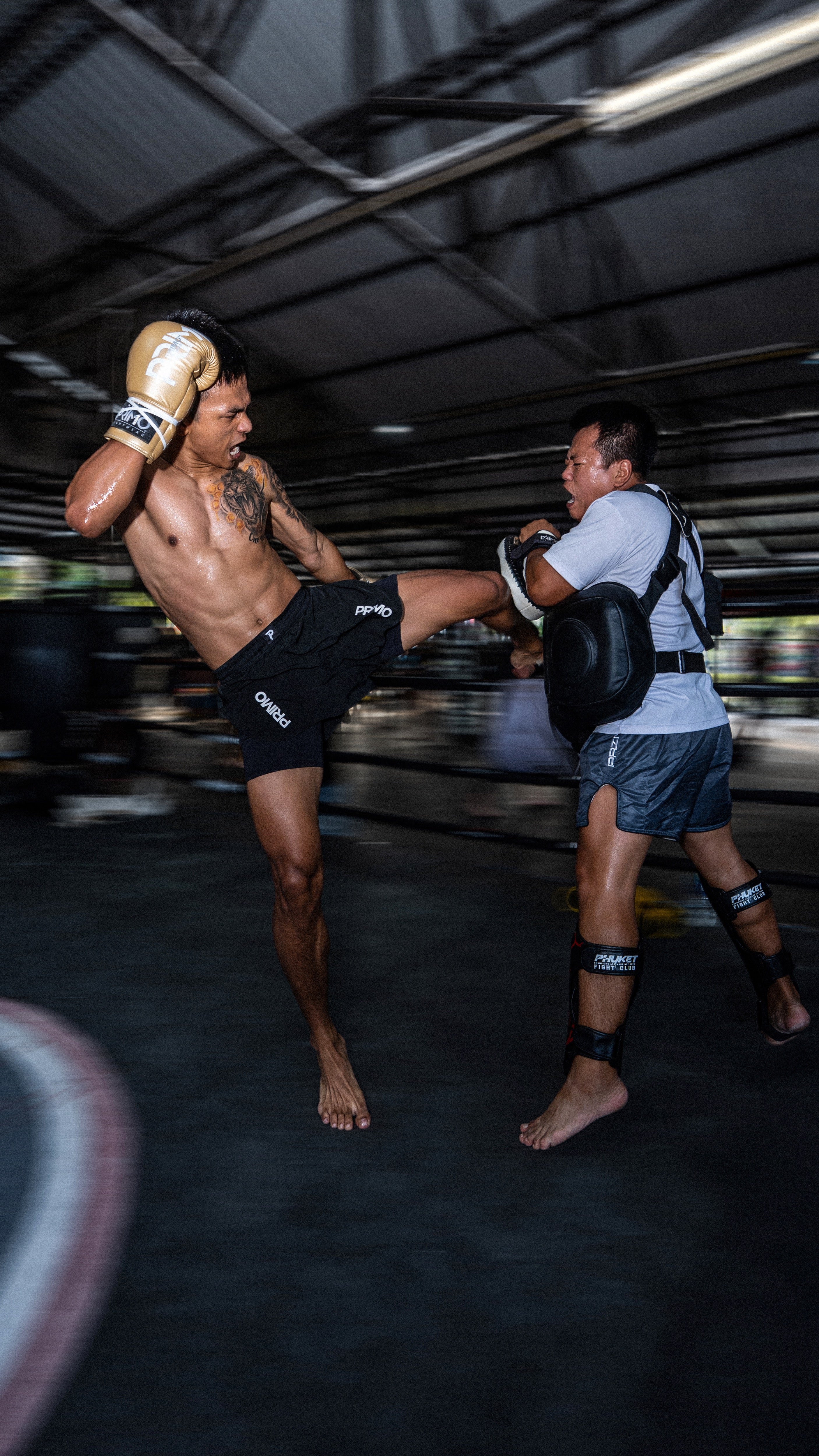 Modern Muay Thai Gloves, Shorts, Wraps & More | Primo Fight Wear