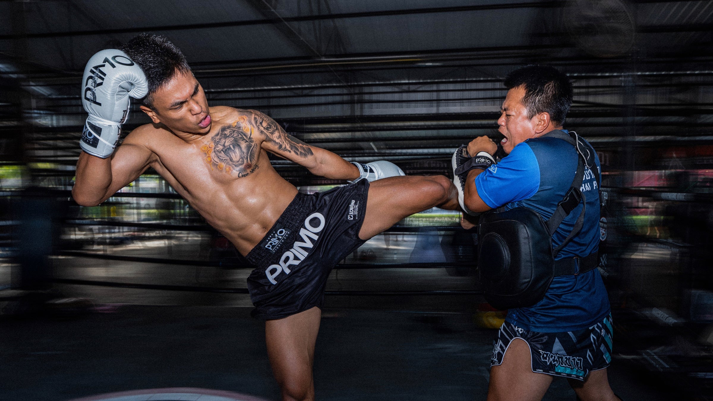Primo Fightwear