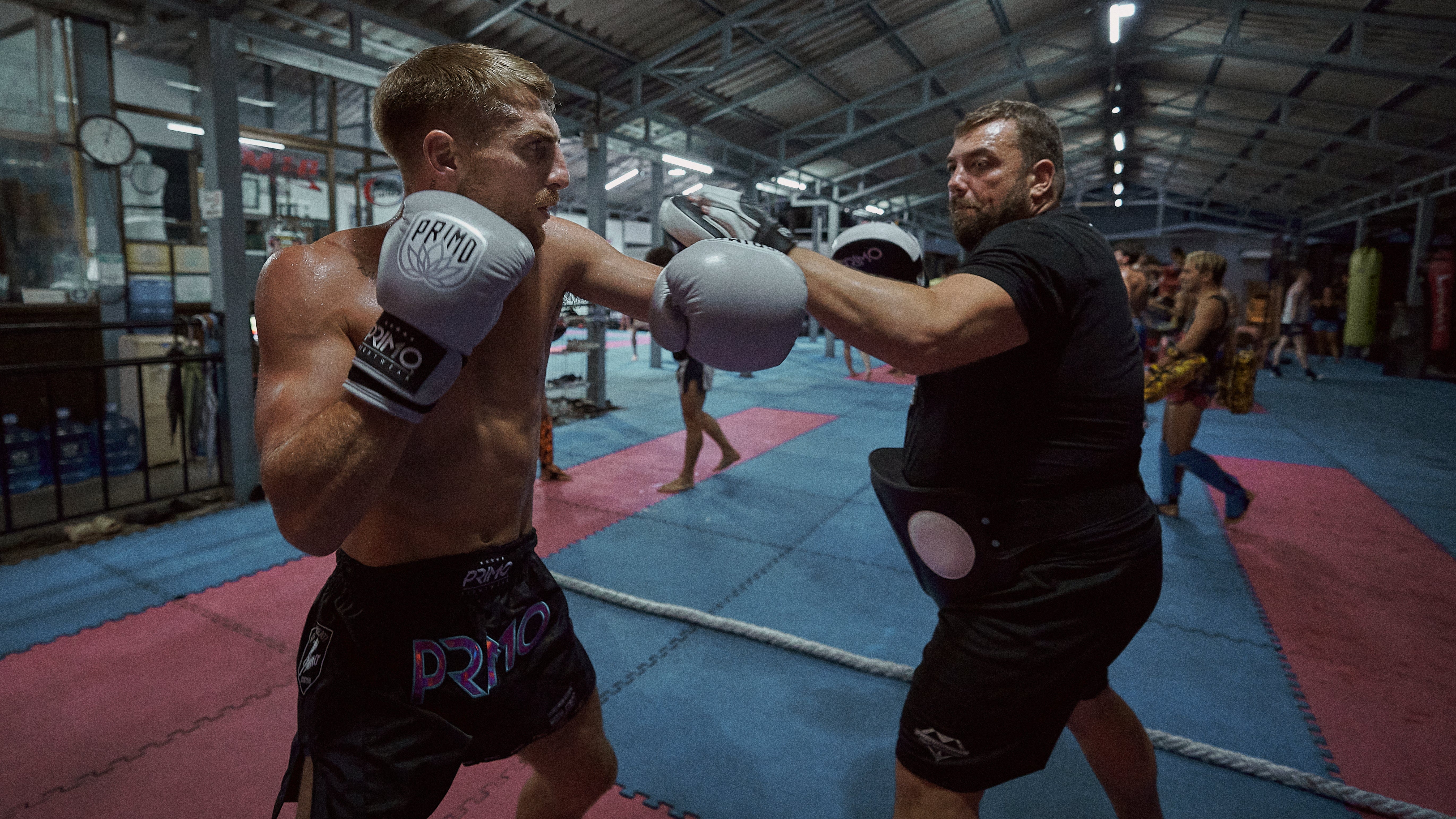 Boxing Gloves