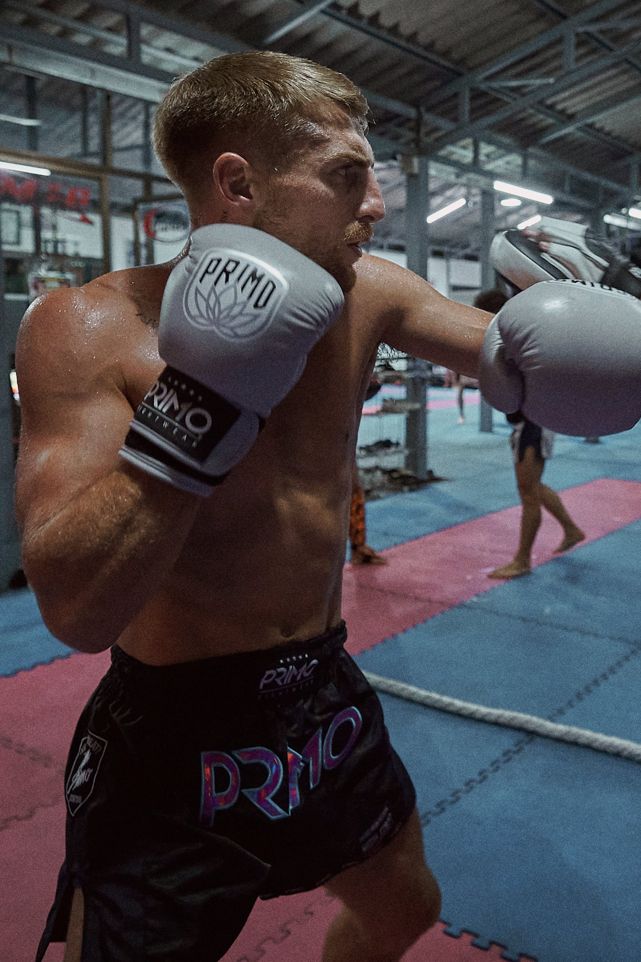 Primo Boxing Gloves
