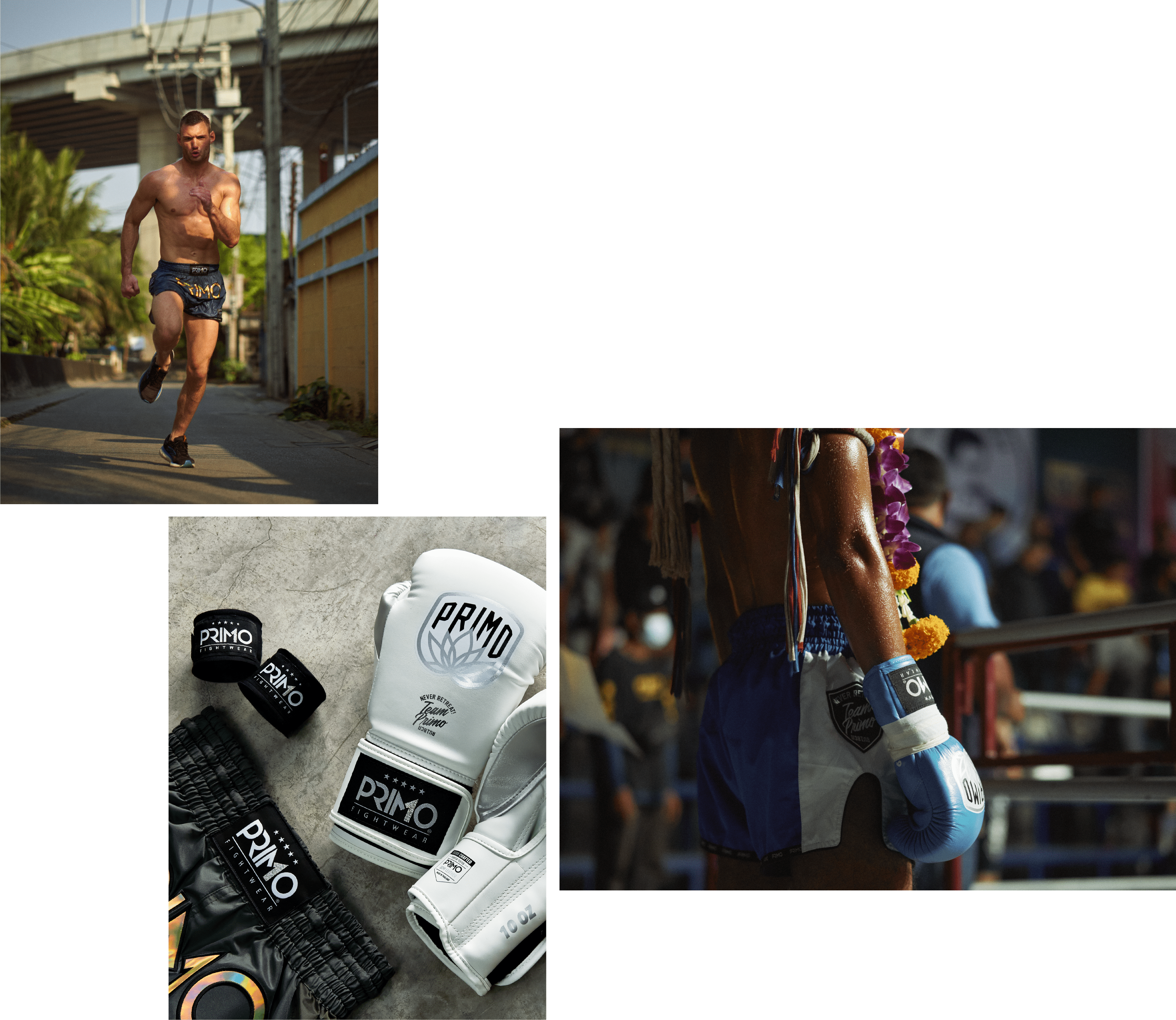 Boxing Gloves and Shorts