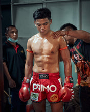 Load image into Gallery viewer, Muay Thai Shorts - Free Flow Series - Stadium Classic I
