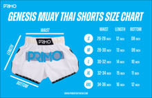 Load image into Gallery viewer, Muay Thai Shorts - Genesis Series - White Nova
