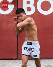 Load image into Gallery viewer, Muay Thai Shorts - Arctic Ghost
