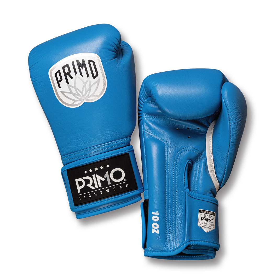 Emblem 2.0 - Mayan Blue Boxing Gloves