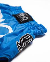 Load image into Gallery viewer, Super-Nylon Muay Thai Shorts - Blue Jay
