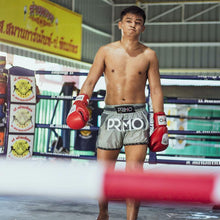 Load image into Gallery viewer, Muay Thai Shorts - Genesis Series - Ultron Grey
